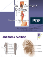 Fisiología de Faringe y Esófago