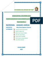 Informe Final