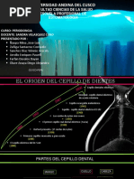 Exposicion Cepillos Terminado