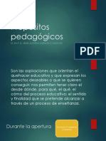 Propósitos Pedagógicos