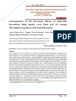 Phytophthora Megakarya