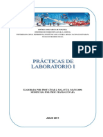 Lab I Unefa PDF