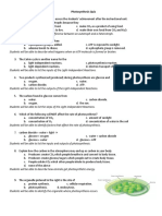 Photosynthesis Quiz