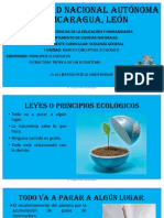 Principios de Ecologia