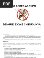 Projeto Aedes Aegypti