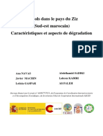 Les Sols Dans Le Pays Du Ziz Sud-Est Mar PDF