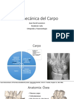 Biomecanica Del Carpo 2