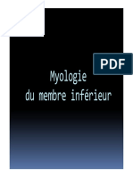 011 - Myologie Du Membre Inférieur