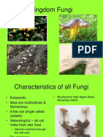 Fungi