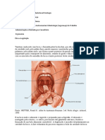 Anatomia Geral e Da Cavidade Bucal Fisiologia