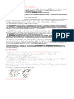 La Cellule Algale A Des Caractéristiques Remarquables