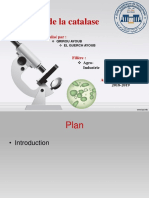 Test de La Catalase: Réalisé Par