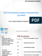 EIA Process