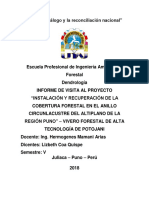 Informe Dendrologia