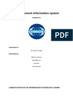 Management Information System: Assignment