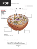 Cells Practice Worksheet 2