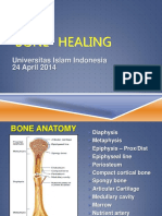 BONE Healing Uii 24 April 2014