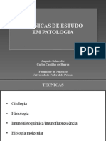 Patologia - 4 - Técnicas-de-estudo-em-Patologia PDF