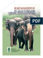 Buku Captive Elephant PDF