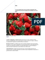 7 Beneficios de La Frutilla