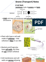 Cell Transport Powerpoint