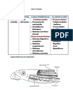 Ejes y Planos