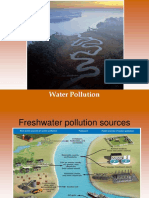 Water Pollution