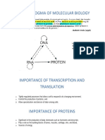 RNA Transcription and Translation