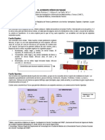 Accidente Ofidico en Panama PDF