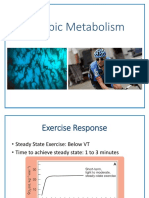 Aerobic Metabolism