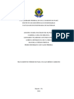 Relatório Tratamento Térmico Pronto - REVISADO LORENA