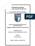 Administracion - Proyeccion Social