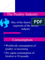 The Poultry Industry: One of The Fastest Growing Segments of The Animal Industry