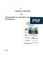 A Project Report ON National Bank For Agriculture and Rural Development