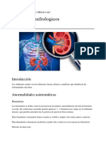 Sindromes Nefrologicos