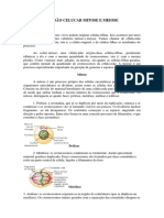 Divisão Celucar Mitose e Meiose