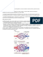 Inflamação Aguda