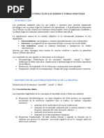 Terapia de Conducta en Miedos y Fobias Infantiles