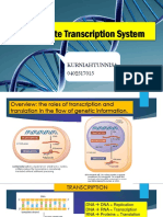 Biomol R2 Kurniahtunnisa 0402517015 Refleksi