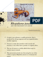 Rhopalurus Junceus: and The Treatment of Cancer