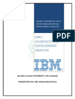 IBM's Oganizational Development Analysis: Project Report of An In-Depth Organizational Development Analysis