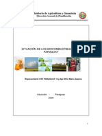 Situacion de Biocombustibles en Paraguay 2006