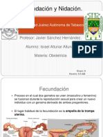 Fecundación