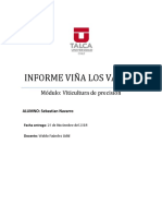 Informe Los Vascos