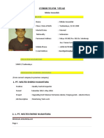 Curriculum Vitae: Personal Information