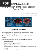 Carcinogenesis: (The Overview of Molecular Basis of Cancer Cell)