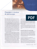 Apéndice, Principios y Técnicas de Microscopía PDF