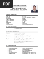 Curriculum Vitae Julian