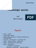 Fitopatologie Boli-Agent Patogen