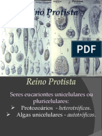 Protista - Biologia